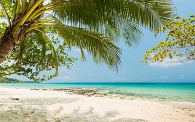 tropical island, beach, coast, ocean, blue lagoon, tropics, palm, summer travel concepts