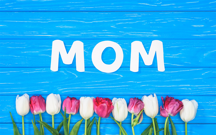 Feliz D&#237;a de las Madres, 13 de Mayo de 2018, la palabra Mam&#225;, rosa tulipanes, fiesta internacional, azul fondo de madera, felicitaciones