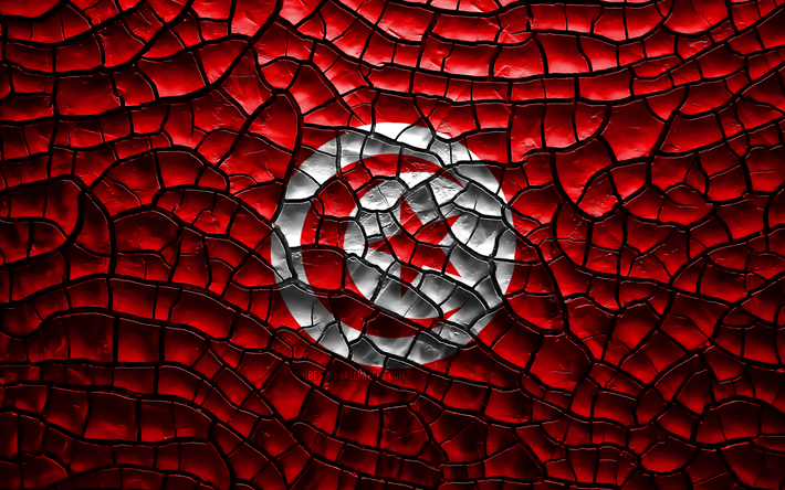 Flag of Tunisia, 4k, cracked soil, Africa, Tunisian flag, 3D art, Tunisia, African countries, national symbols, Tunisia 3D flag