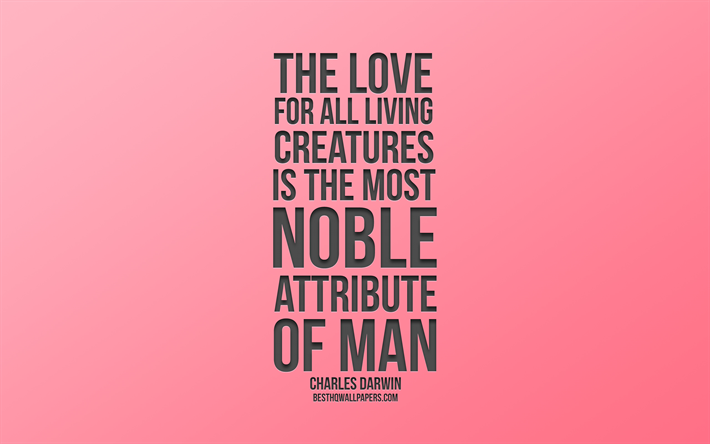 El amor por todas las criaturas vivientes es el m&#225;s noble atributo del hombre, Charles Darwin cita, fondo rosa, citas sobre el amor, citas populares