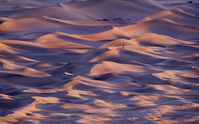 وادي الموت, الصحراء, الكثبان الرملية, الشعور بالوحدة المفاهيم, الولايات المتحدة الأمريكية, كاليفورنيا, أمريكا