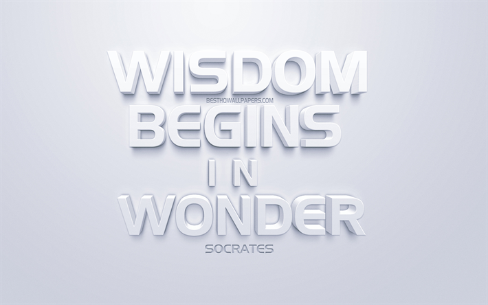 A sabedoria come&#231;a na maravilha, S&#243;crates-cita&#231;&#245;es, branco arte 3d, fundo branco, cita&#231;&#245;es sobre sabedoria