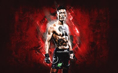 Teruto Ishihara, MMA, UFC, Japanese fighter, red stone background, Teruto Ishihara art, Ultimate Fighting Championship