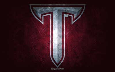 Troy Trojans, squadra di football americano, sfondo bordeaux, logo Troy Trojans, arte grunge, NCAA, football americano, emblema di Troy Trojans
