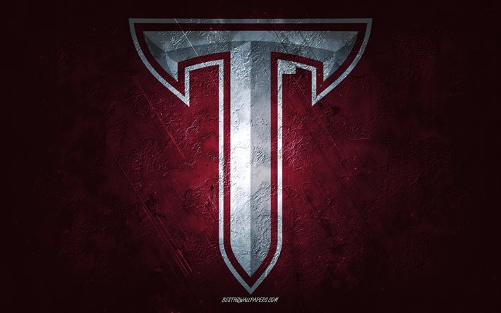 Troy-troijalaiset, amerikkalainen jalkapallojoukkue, viininpunainen tausta, Troy-troijalaisten logo, grunge-taide, NCAA, amerikkalainen jalkapallo, Troy-troijalaisten tunnus