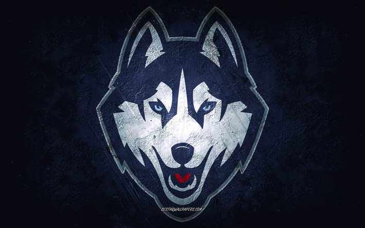 uconn huskies, american-football-team, blauer hintergrund, uconn huskies logo, grunge kunst, ncaa, american football, uconn huskies emblem