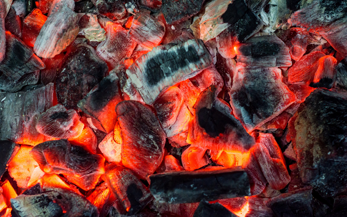 smoldering coals, bonfire, burning tree, fire, coals