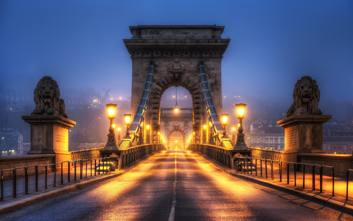 Chain Bridge, Budapest, huvudstaden i Ungern, kv&#228;ll, skulptur lejon, landm&#228;rke, Ungern, Floden Donau