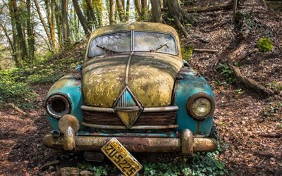 rostig bil, dump, &#246;vergiven bil, Brasilien, skogen, retro bilar