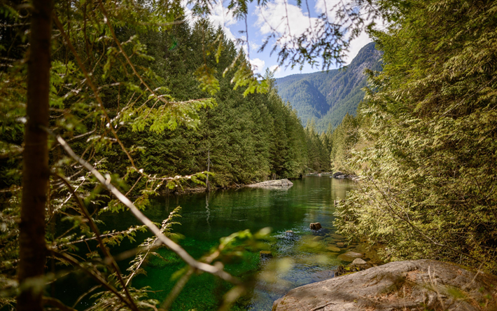 rio de montanha, Alpes, floresta, paisagem de montanha, &#225;rvores altas, bela natureza