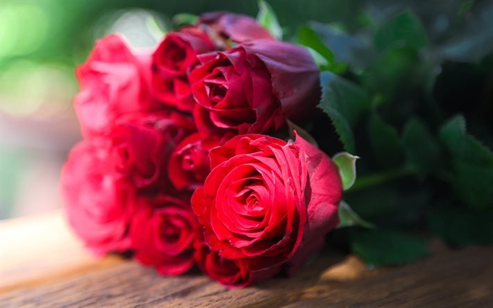 rosas vermelhas, 4k, bokeh, flores vermelhas, rosas, bot&#245;es, rosas vermelhas buqu&#234;, lindas flores, vermelho gomos, planos de fundo com flores