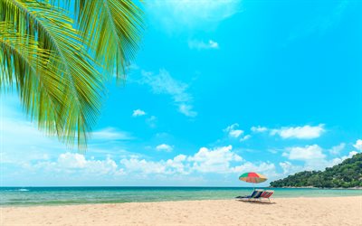 tropical island, luxury beach, summer, ocean, palm trees, sand, seascape, summer travel, deckchairs on the beach