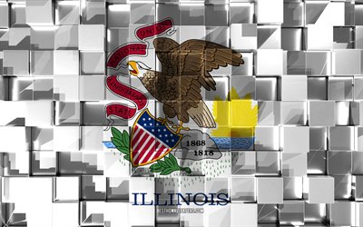 Flag of Illinois, 3d flag, US state, 3d cubes texture, Flags of American states, 3d art, Illinois, USA, 3d texture, Illinois flag