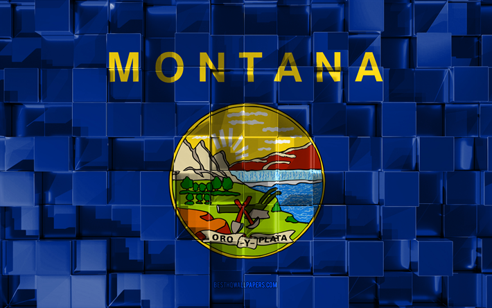 Bandiera del Montana, 3d, bandiera di stato americano, cubi 3d texture, le Bandiere degli stati Americani, 3d arte, Montana, USA, texture 3d, Montana bandiera