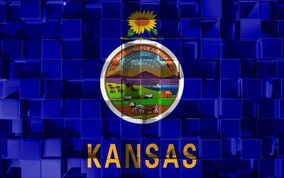 Flag of Kansas, 3d flag, US state, 3d cubes texture, Flags of American states, 3d art, Kansas, USA, 3d texture, Kansas flag