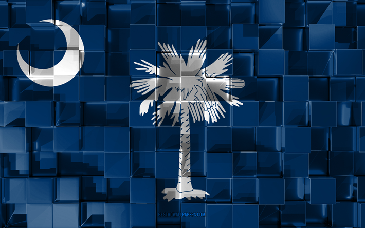 Flag of South Carolina, 3d flag, US state, 3d cubes texture, Flags of American states, 3d art, South Carolina, USA, 3d texture, South Carolina flag