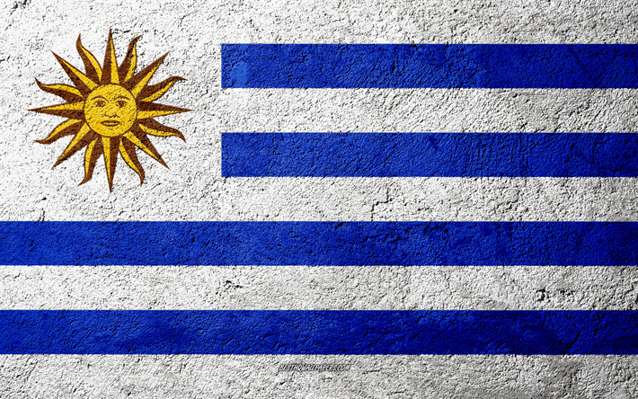 Flag of Uruguay, concrete texture, stone background, Uruguay flag, South America, Uruguay, flags on stone