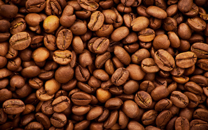 kahve &#231;ekirdekleri doku, Arap, doğal kahve, yakın &#231;ekim, kahve dokular, arka planlar, kahve, kahve fasulye, Arap fasulye