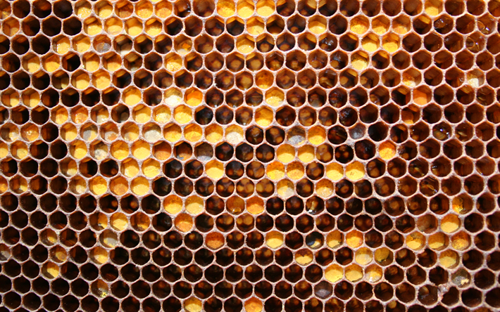 hunajakenno rakenne, l&#228;hikuva, ruoka kuvioita, ruskea taustat, honeycomb, kulta kuvioita, kulta