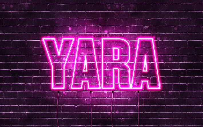 ダウンロード画像 ヤラ 4k 名前の壁紙 女性の名前 やらの名前 紫のネオンライト 誕生日おめでとう 人気のアラビア語の女性の名前 やらの名前の写真 フリー のピクチャを無料デスクトップの壁紙
