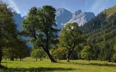Tirol, Alpler, Karwendel Dağları, Grosser Ahornboden, yaz, dağ manzarası, Avusturya