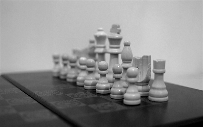 white chess, all figures, monochrome chess photo, game, chess board, wooden chess