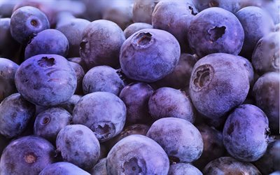blueberries, 4k, fresh fruit, berries, close-up, fruits