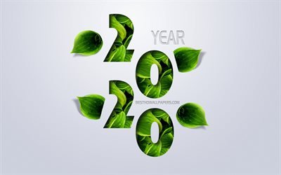 2020 Year Concepts, green leaves, eco concept, creative art, 2020 year, Happy New 2020 Year, Gray background