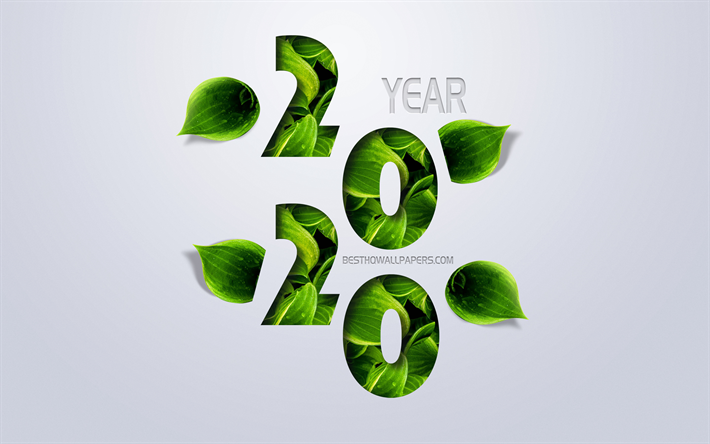 2020 yılına Kavramlar, yeşil yaprakları, eko kavramı, yaratıcı sanat, 2020 yıl, Mutlu Yeni Yıl 2020, Gri arka plan