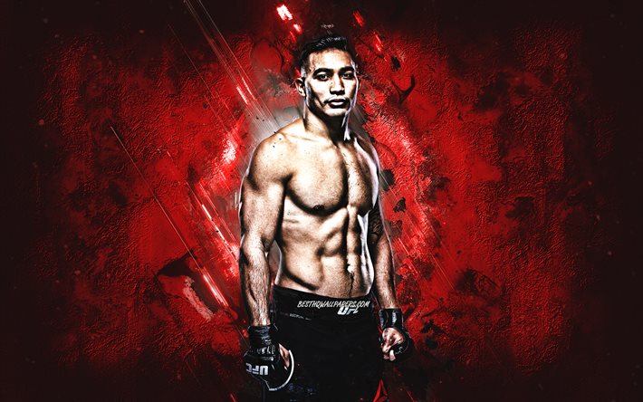 Punahele Soriano, MMA, UFC, american fighter, red stone background, creative art