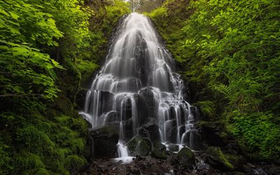 Fairy Falls, vattenfall, stenar, Columbia River Gorge, vackert vattenfall, vattenkoncept, Oregon, USA