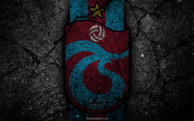 Trabzonspor, logo, art, Super Lig, soccer, football club, grunge, Trabzonspor FC