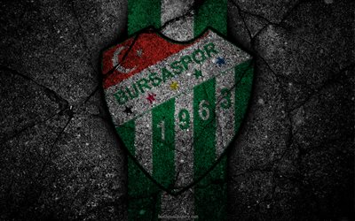 Bursaspor, logo, art, Super Lig, soccer, football club, grunge, Bursaspor FC