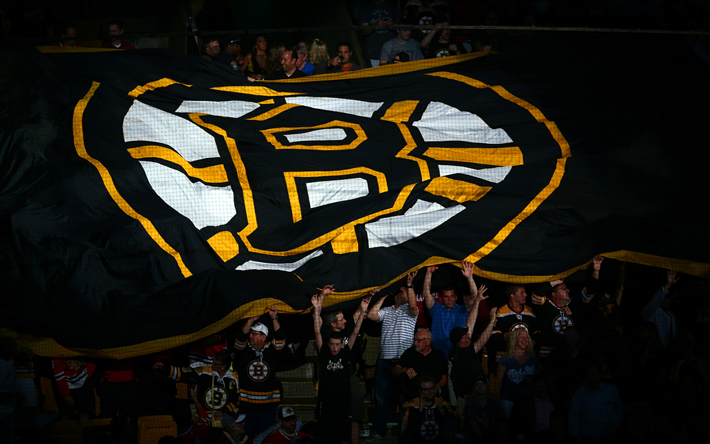 Boston Bruins, 4k, logo, taraftar, NHL