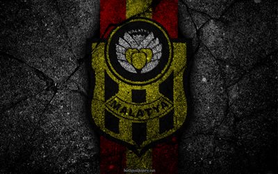 Malatyaspor, logo, art, Super Lig, soccer, football club, grunge, Malatyaspor FC