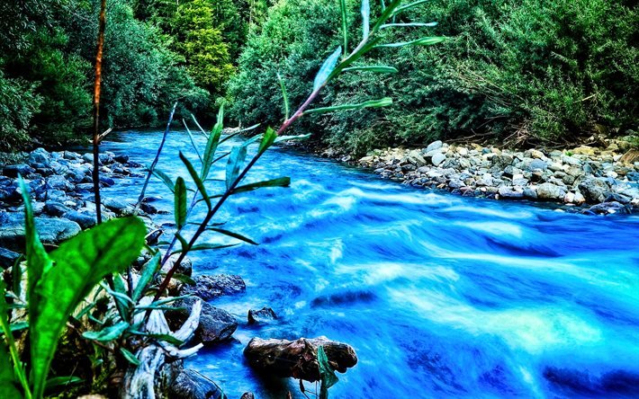 blue river, forest, summer, HDR, beautiful nature, mountain river, fast flow