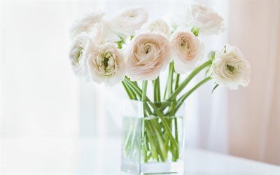 vacker vit bukett, Ranunculus, vita blommor, vas