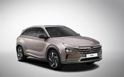 Hyundai FCEV, estrada, 2018 carros, carros el&#233;tricos, carros coreanos, Hyundai
