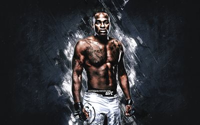 Derek Brunson, UFC, portrait, american fighter, gray stone background, Ultimate Fighting Championship