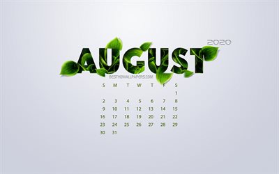 August 2020 Calendar, eco concept, green leaves, August, white background, 2020 spring calendar, 2020 concepts, 2020 August Calendar