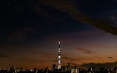 Torre Skytree, la torre de TELEVISI&#211;N, Sumida, Tokio, torre de observaci&#243;n, noche, paisaje urbano de Tokio, lugar de inter&#233;s, Jap&#243;n