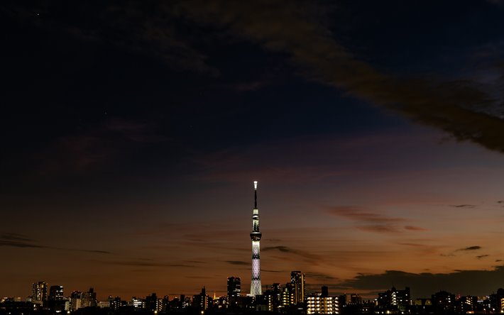 طوكيو سكاي تري, برج التلفزيون, سوميدا, طوكيو, برج المراقبة, مساء, طوكيو سيتي سكيب, معلم, اليابان