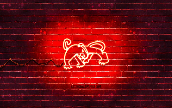 Tigre signe au n&#233;on, 4k, zodiaque chinois, rouge brickwall, Tiger zodiac, des animaux, des signes, calendrier Chinois, cr&#233;atif, Tigre signe du zodiaque, Signes du Zodiaque Chinois, le Tigre