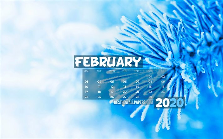 4k, Februari 2020 Kalender, sn&#246;ig gran gratis, vinter, 2020 kalender, Februari 2020, kreativa, vinterlandskap, Februari 2020 kalender med gran gratis, Kalender Februari 2020, bl&#229; bakgrund, 2020 kalendrar