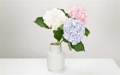 hydrangea, white vase with flowers, hortensia, beautiful bouquet, blue hydrangea, pink hydrangea, white hydrangea