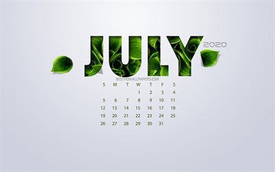July 2020 Calendar, eco concept, green leaves, July, white background, 2020 spring calendar, 2020 concepts, 2020 July Calendar