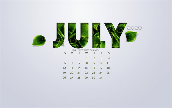 Juillet 2020 Calendrier, eco concept, feuilles vertes, juillet, fond blanc, 2020 printemps calendrier, 2020 concepts, 2020 juillet Calendrier