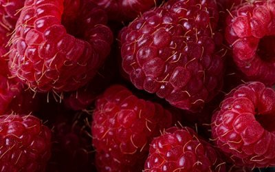 raspberries close-up, berries, background with raspberries, berries background, raspberry texture