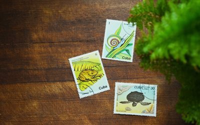 Selos postais cubanos, textura de madeira escura, selos postais com animais, Cuba, correio, viagem a Cuba