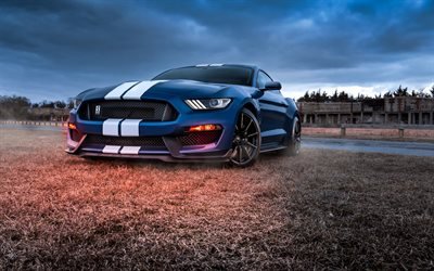 2021, Ford Mustang Shelby GT500, mavi spor coupe, tuning Mustang, amerikan spor arabaları, Ford Shelby GT500, Ford